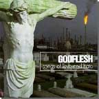 [godflesh - songs of love and hate ]
