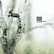 [ recoil - liquid ]