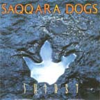 [ saqqara dogs - thirst ]